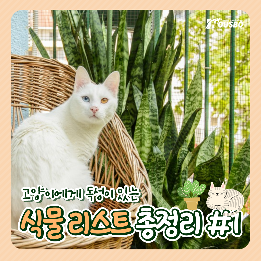 고양이독성식물_001.png