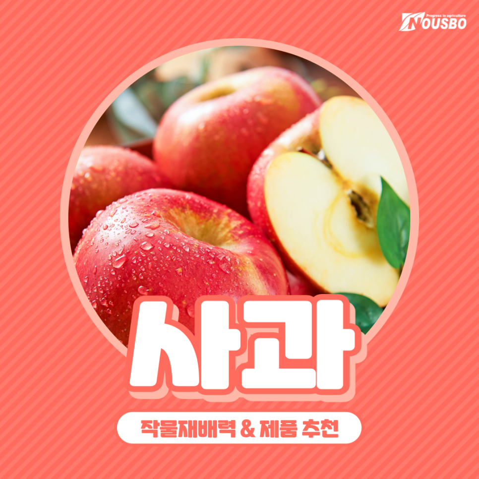 사과작물재배력-001.png