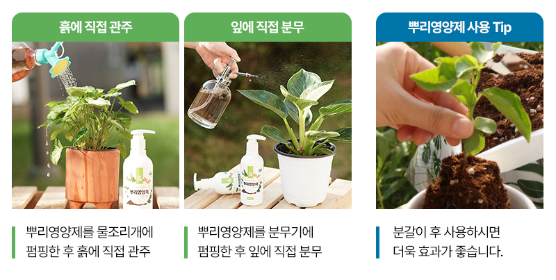 DrJoe-뿌리영양제-사용법.png
