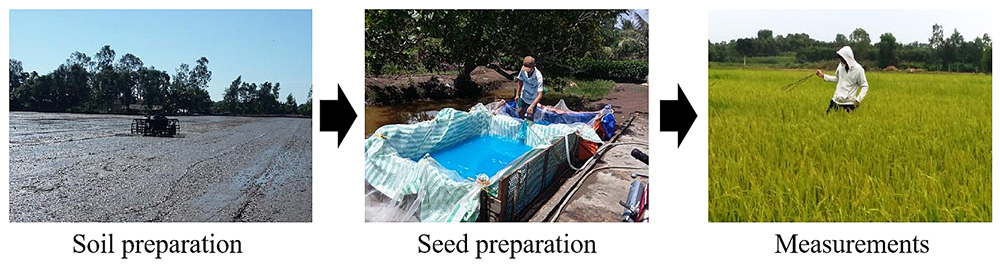 Fertilizer test preparation in Hau Giang province Vietnam.jpg