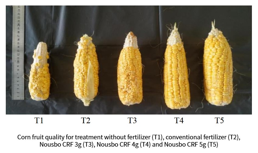 Malaysia corn result comparison.JPG